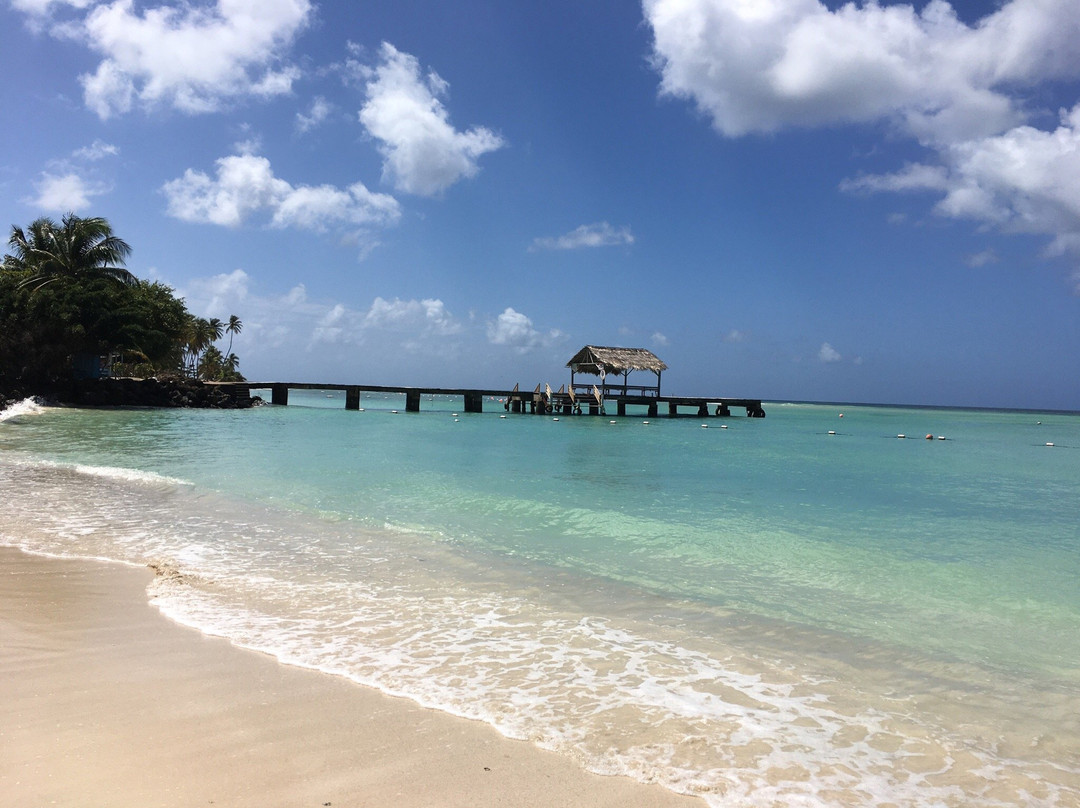 Pigeon Point Beach-多巴哥必去景点