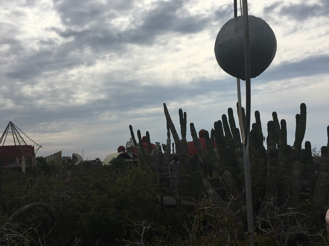 Art and Beer-佩斯卡德罗必去景点