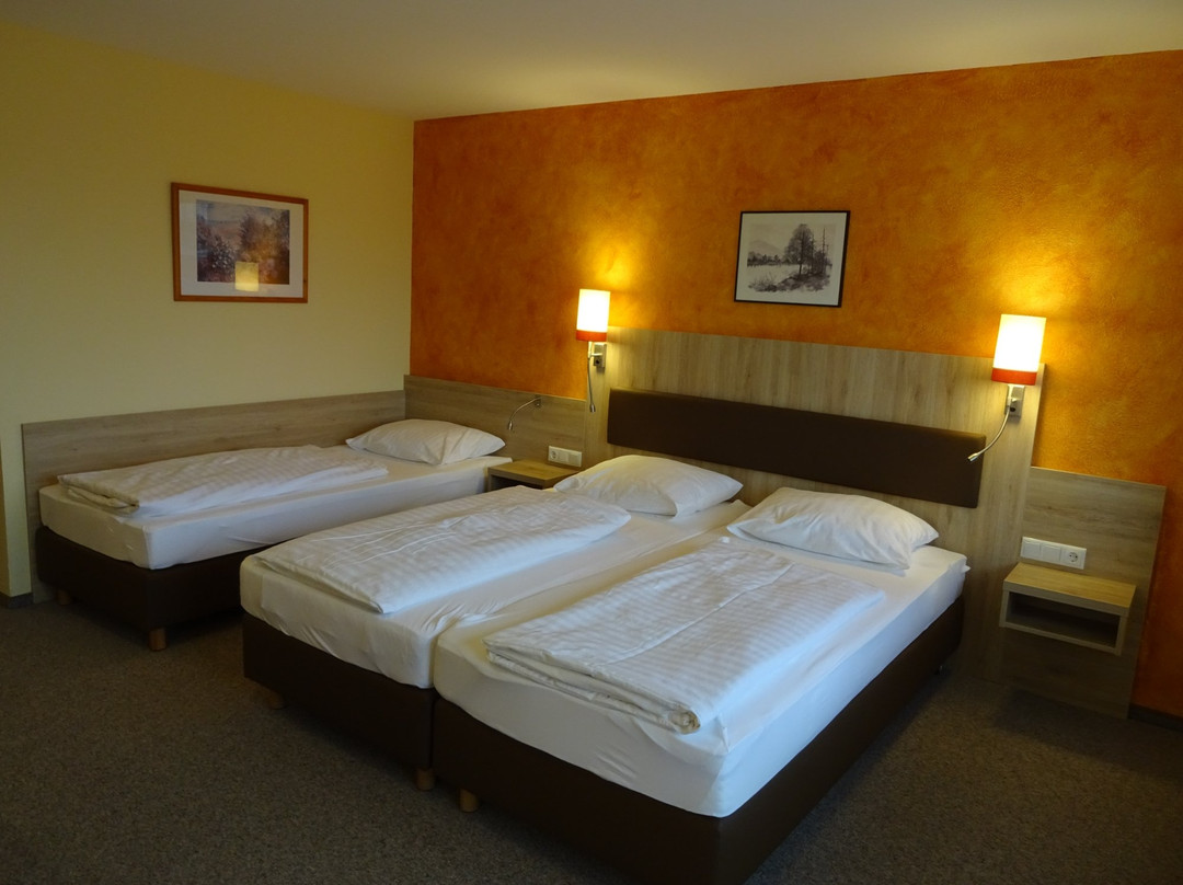 Stadtprozelten酒店住宿-Gasthof-Hotel Zum Ross