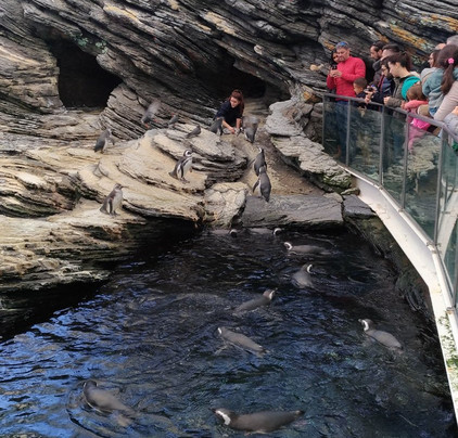 Santo Tours Portugal-里斯本必去景点