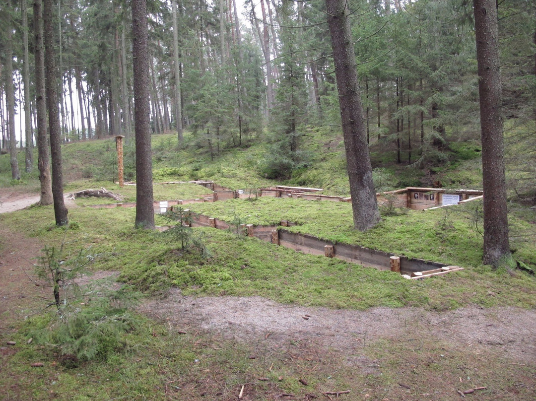 Partisan Bunker "Zielony Pałac"-Mecikal必去景点