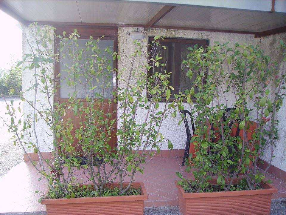 Camere Angela e Vincenzo主图