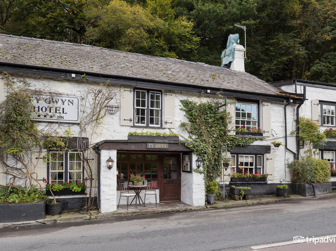 Tŷ Gwyn Hotel