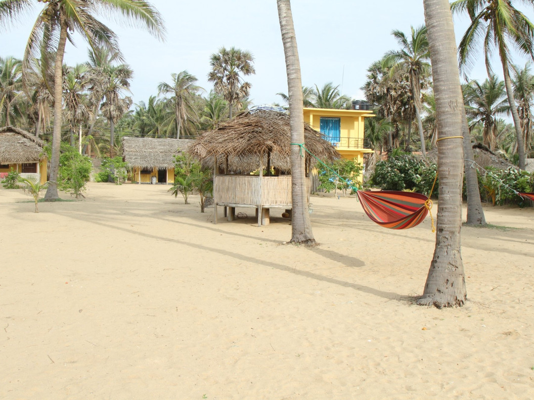 Dolphin Village主图