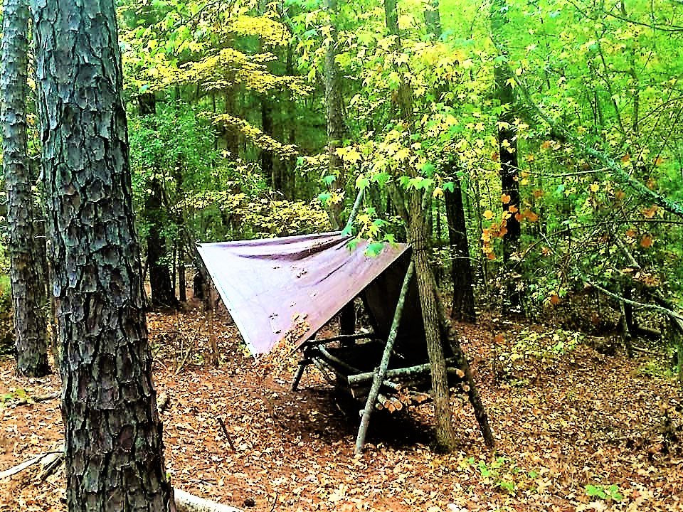 Trail Blazer Survival School & Adventures景点图片