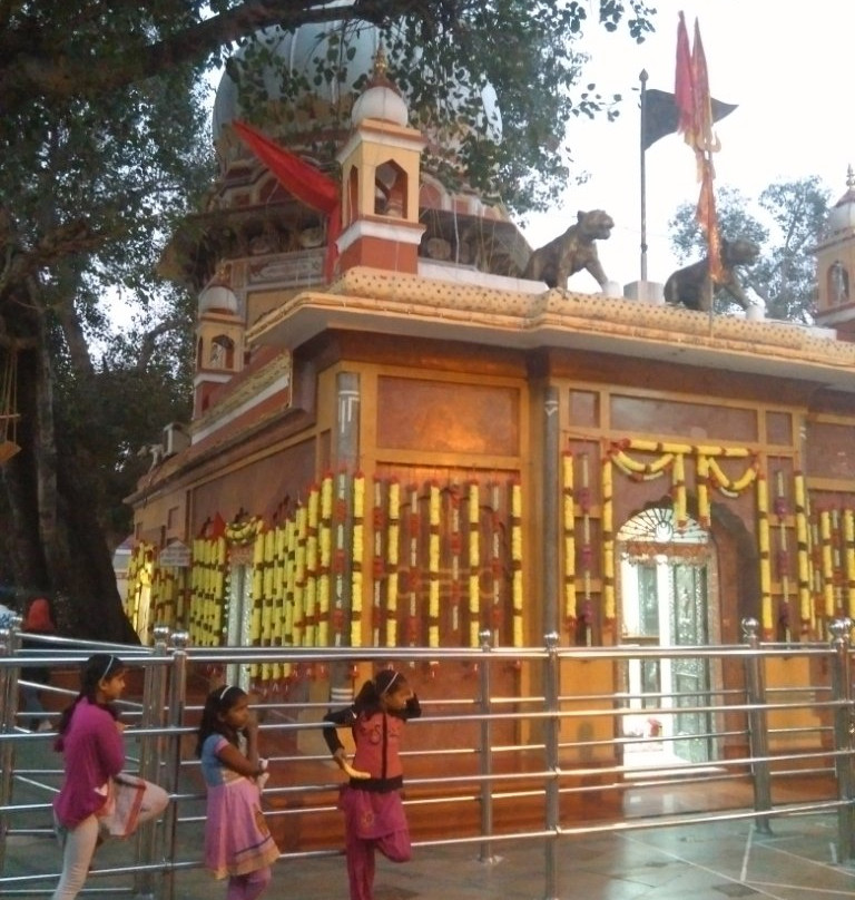Maa Bala Sundari Temple景点图片