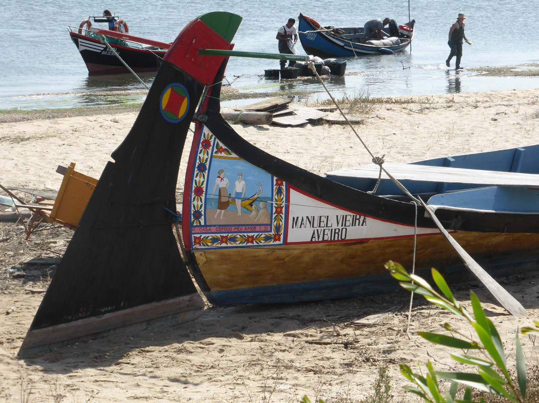 Praia do Monte Branco景点图片