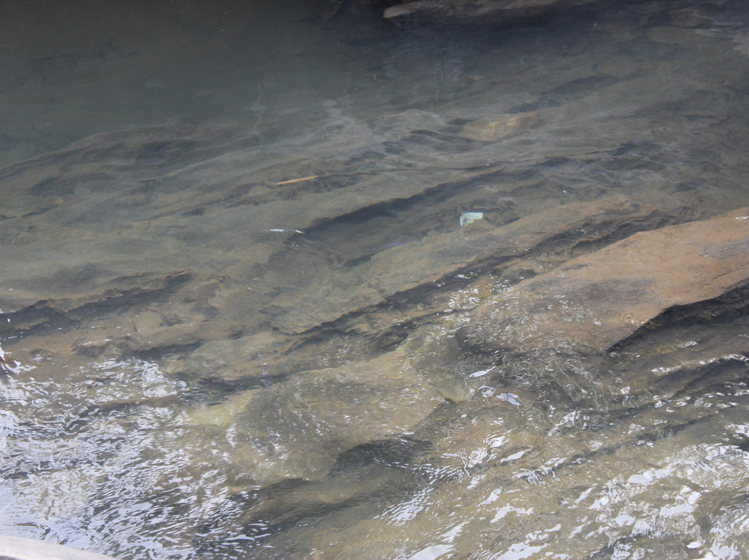 Ghagra Waterfalls景点图片