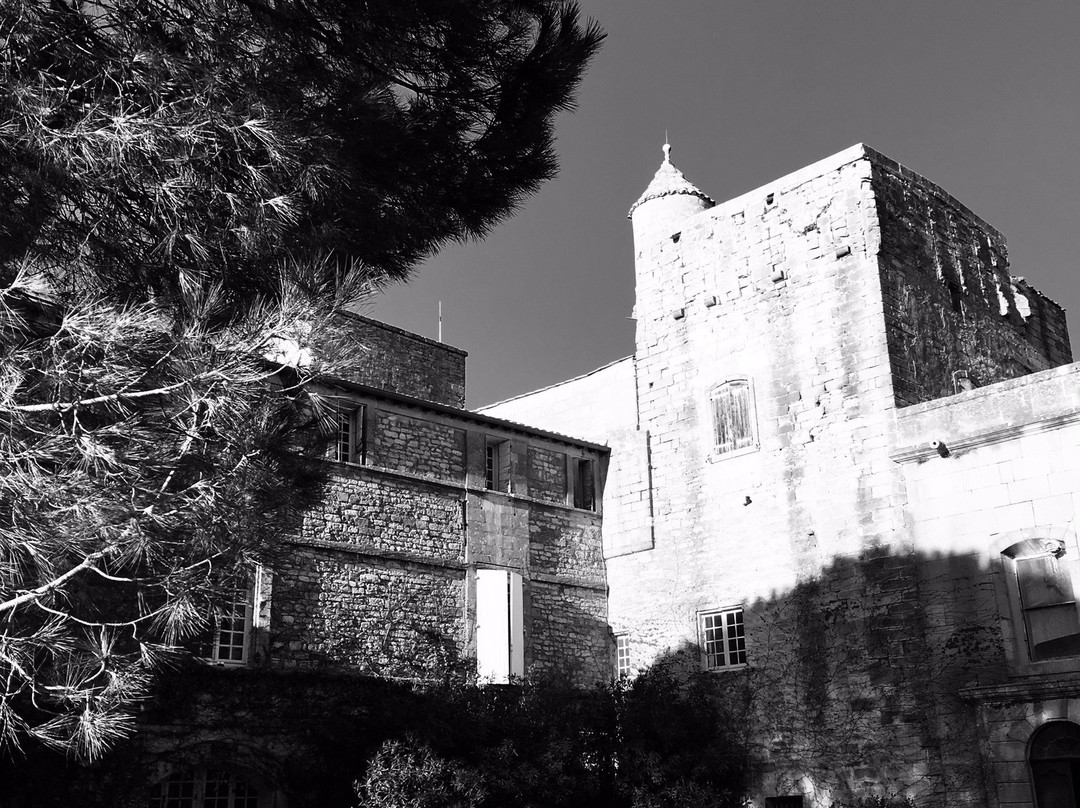 Chateau de Villevieille景点图片