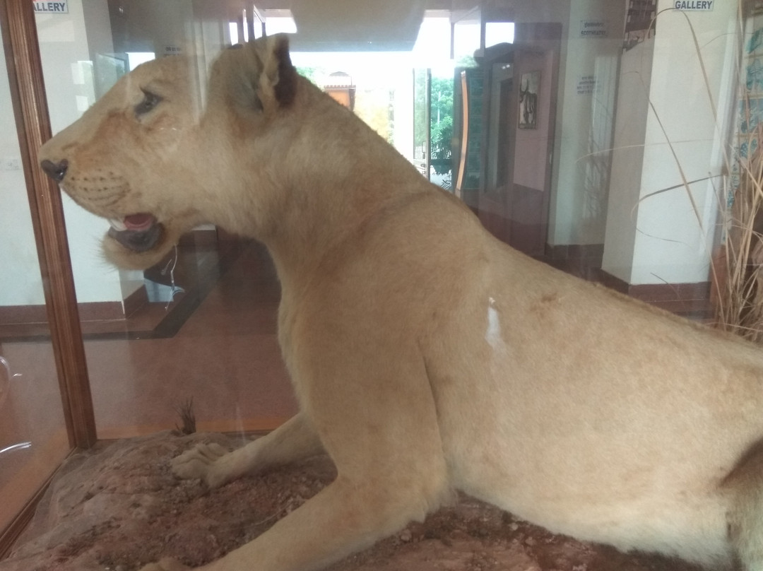 Rajiv Gandhi Regional Museum of Natural History景点图片