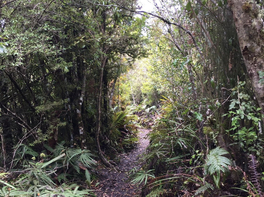 Tupapakurua Falls Lookout-National Park Village必去景点