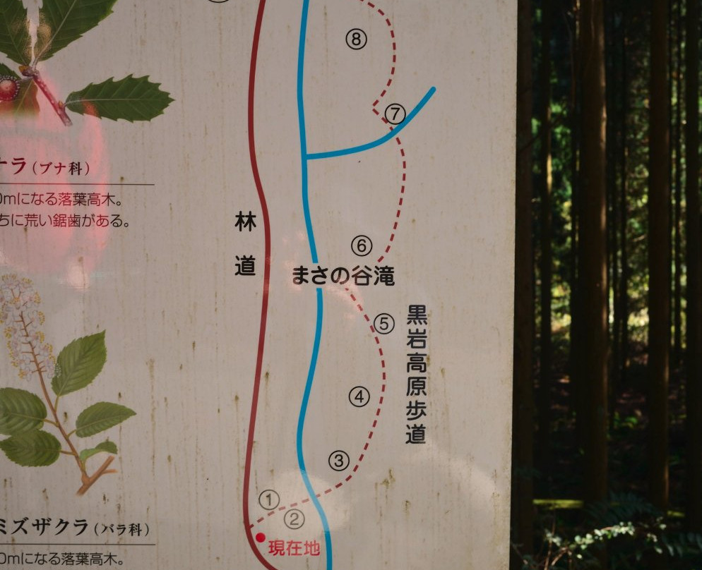 Nondaki-津山市必去景点