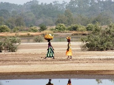 Gambia Santosu Drives Experiences景点图片