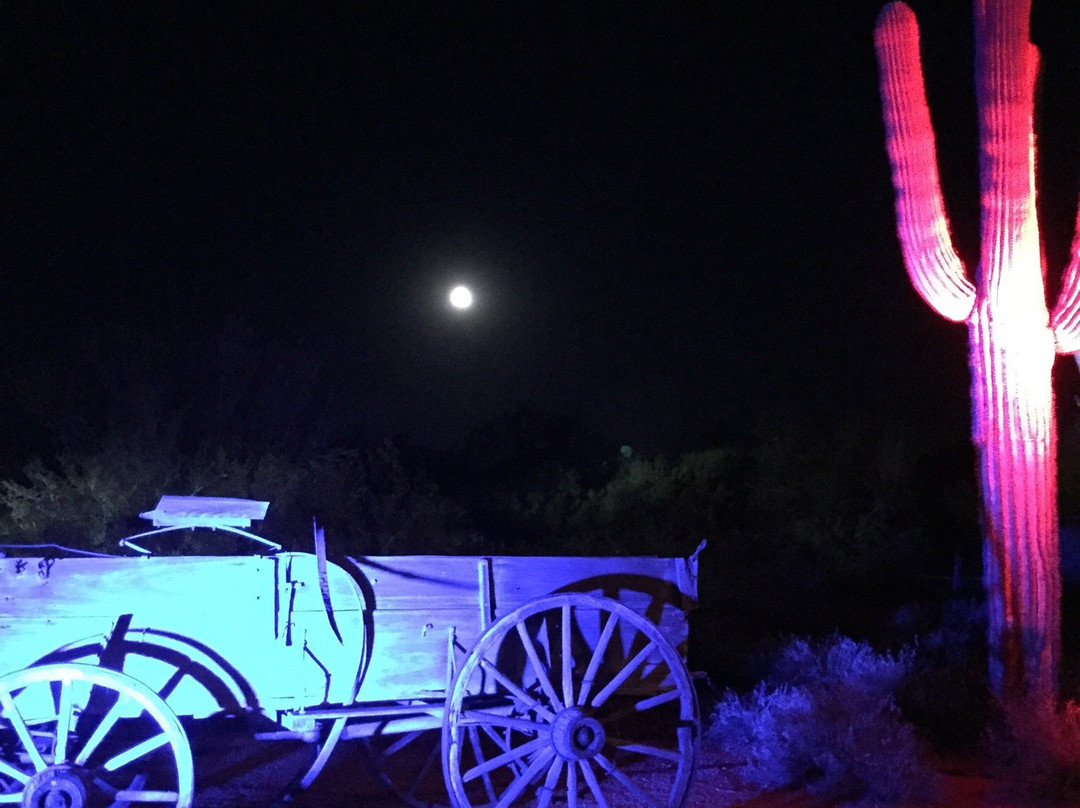 Arizona's Desert Events-斯科茨代尔必去景点