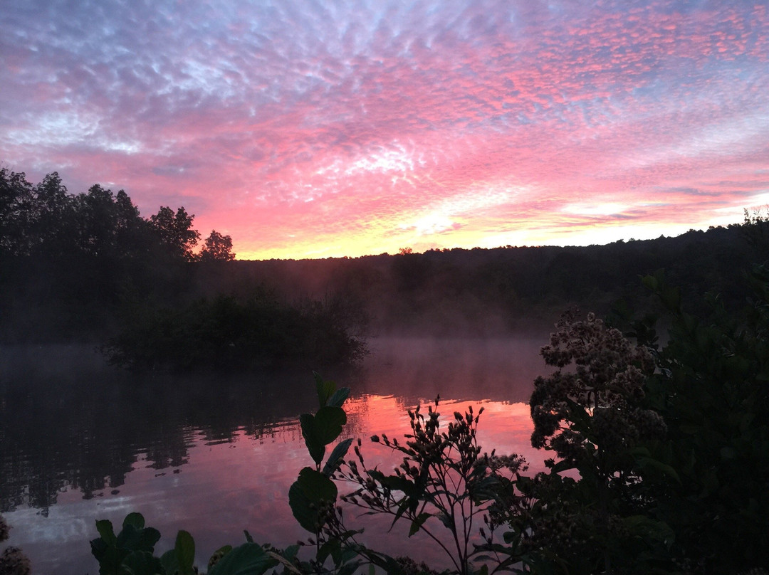 Powdermill Nature Reserve景点图片