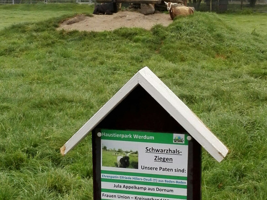 Haustierpark Werdum-Werdum必去景点