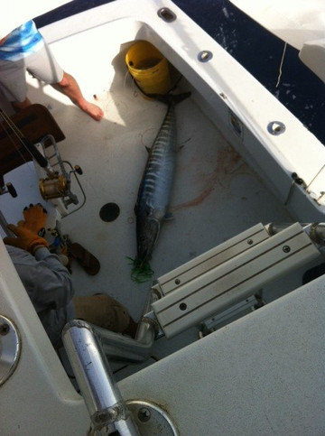 Bill Wraps Fishing Charters Puerto Rico-法哈多必去景点