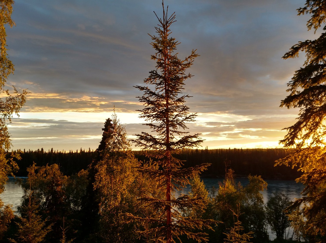 Kenai River Retreat