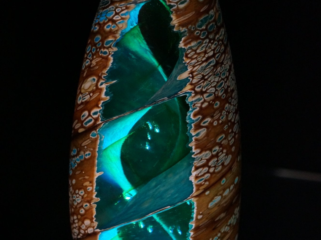 Worcester Glassworks-库拉必去景点