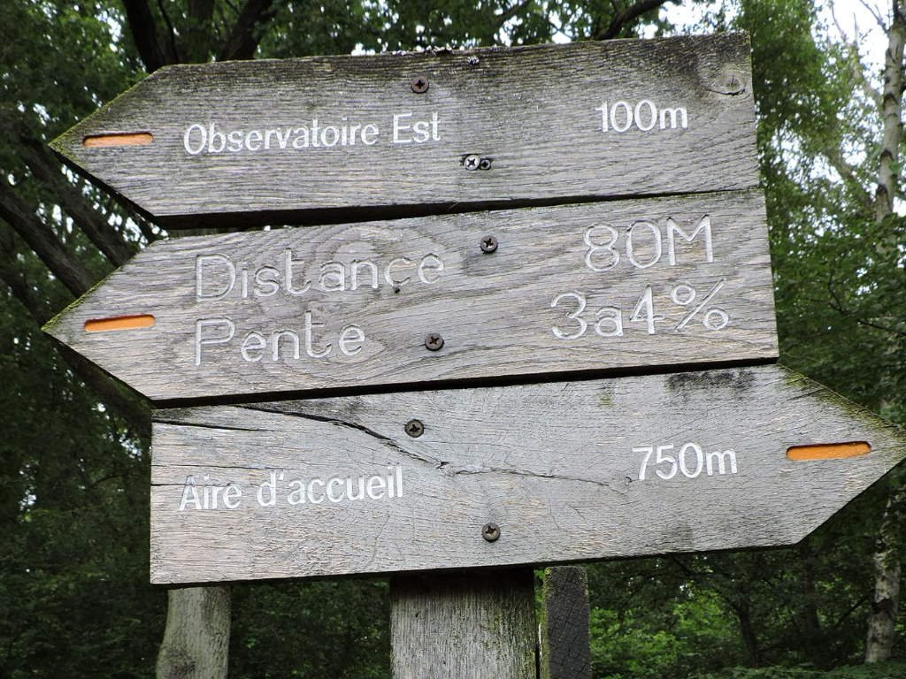 Site Ornithologique des Cinq Tailles景点图片