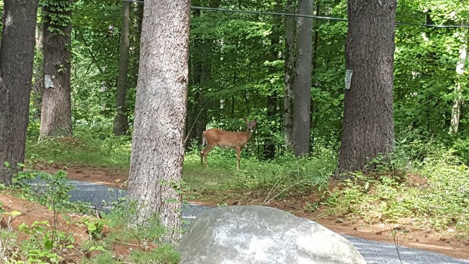 Warren County Bikeway-乔治湖必去景点