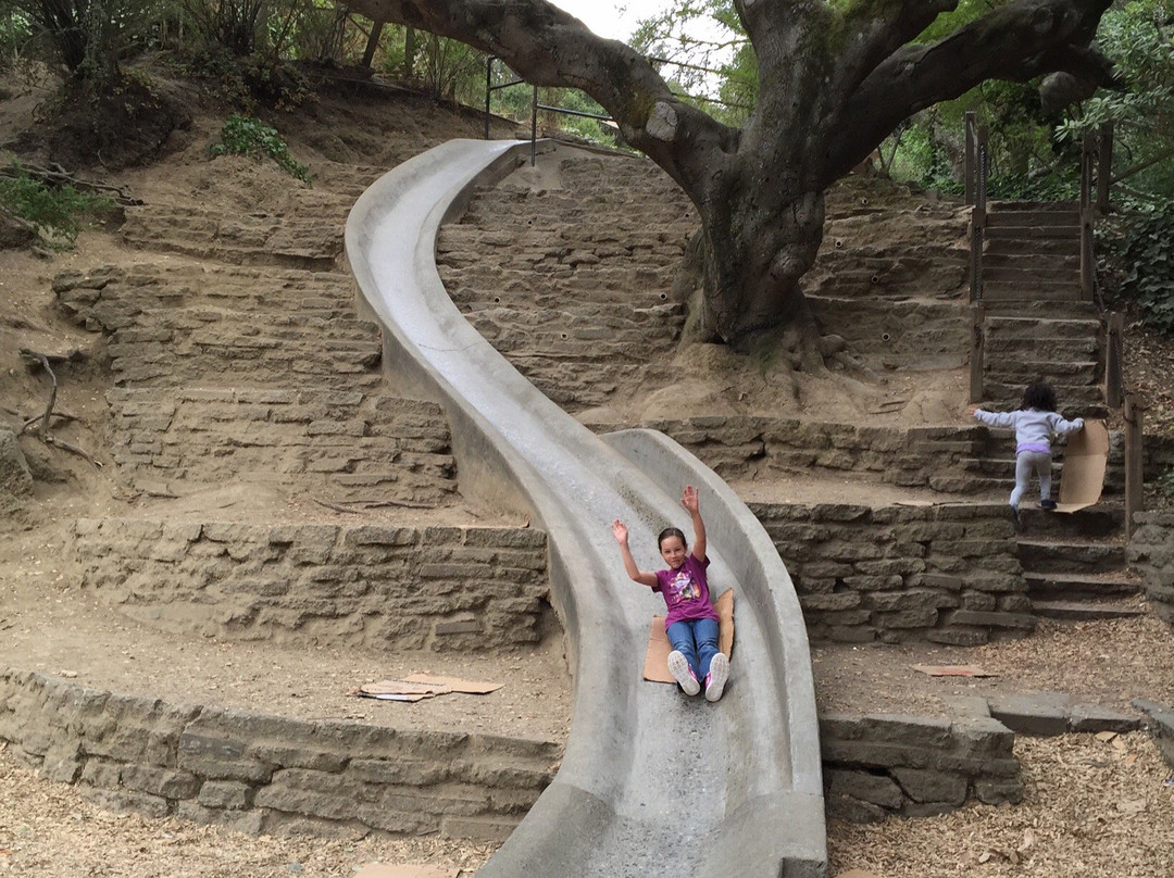 Codornices Park-伯克利必去景点