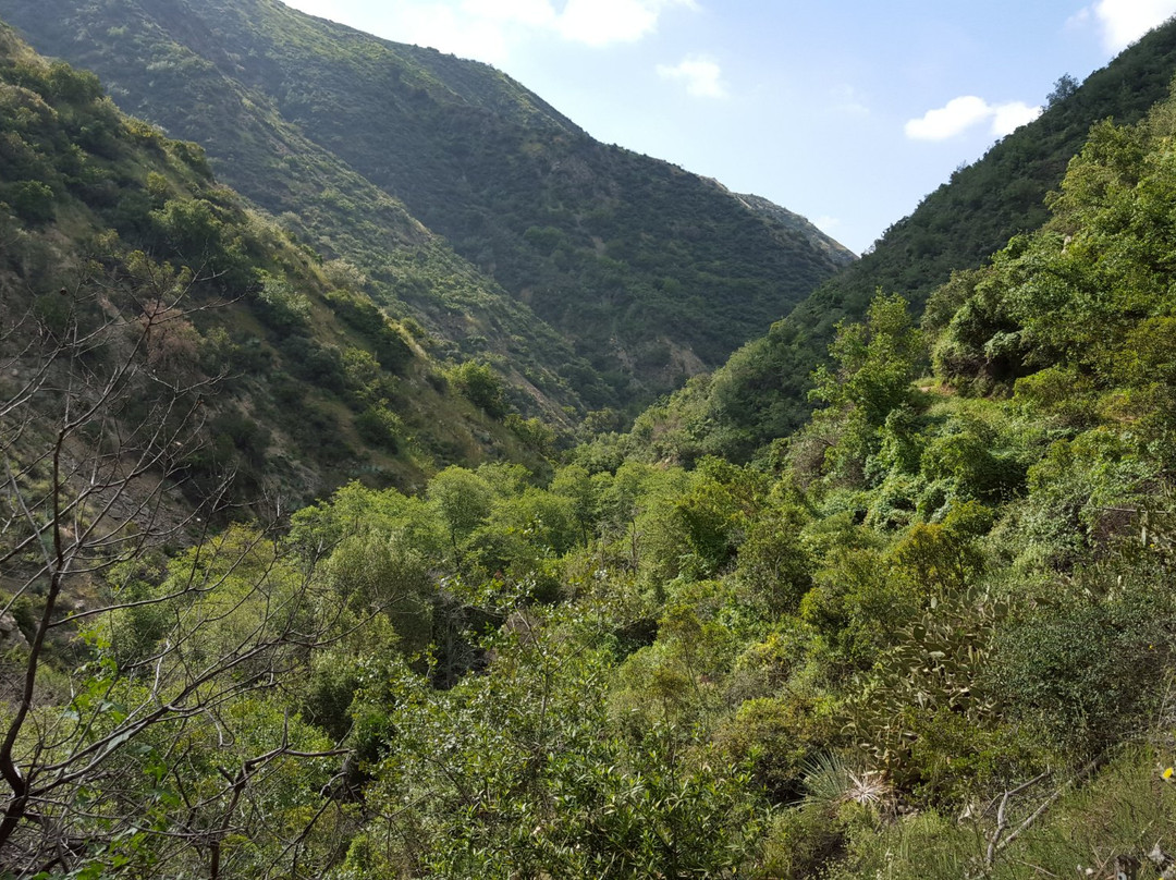 Fish Canyon Trail景点图片