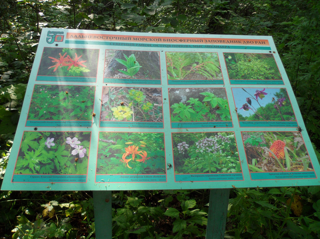 Botanical Garden at the Peninsula Likandera-海参崴必去景点