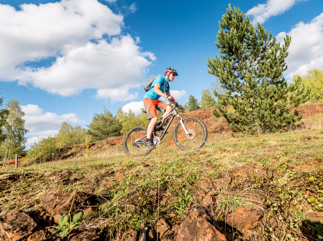 Redrock Mountain Bike Trails-阿尔泽特河畔埃施必去景点