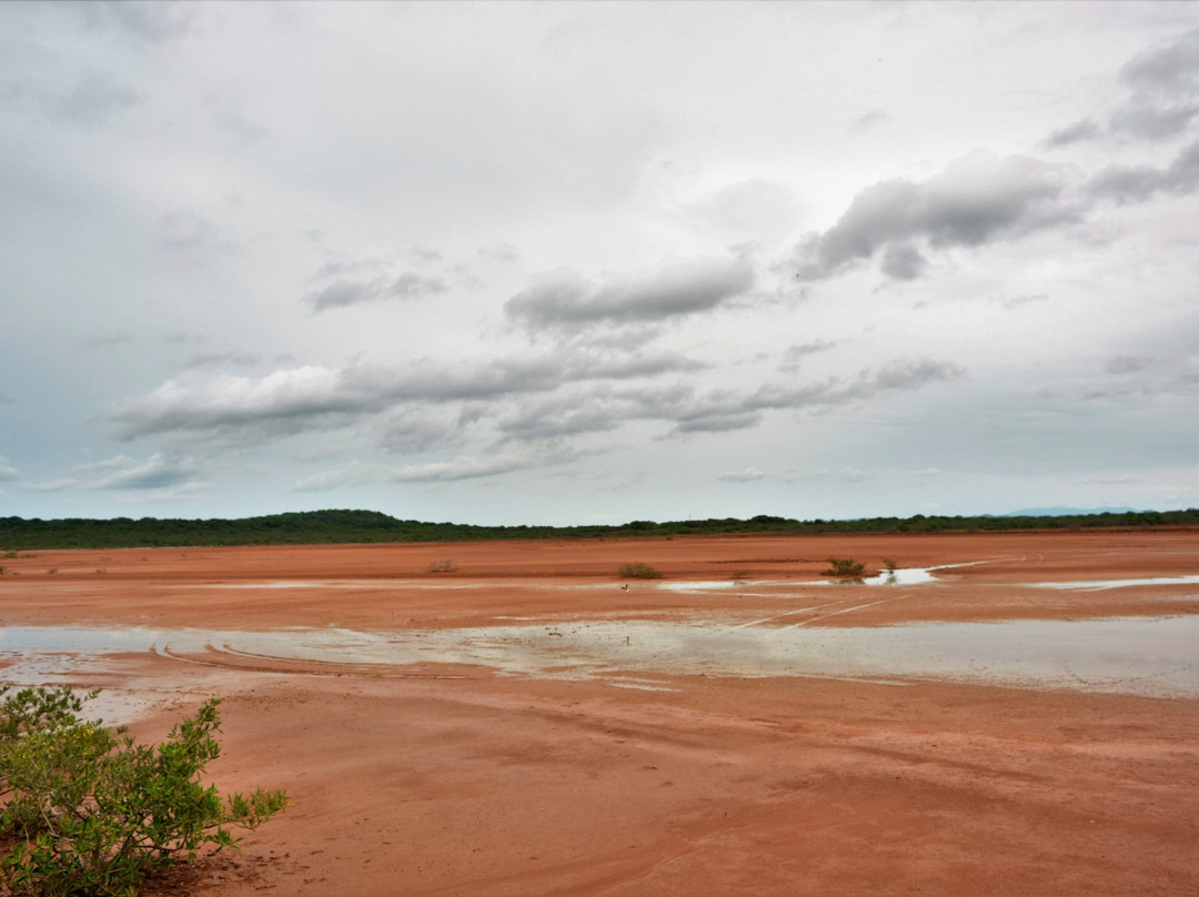 Sarigua National Park景点图片