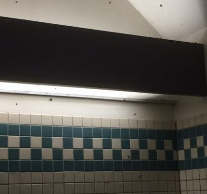 Silver Springs Campground-Enumclaw必去景点