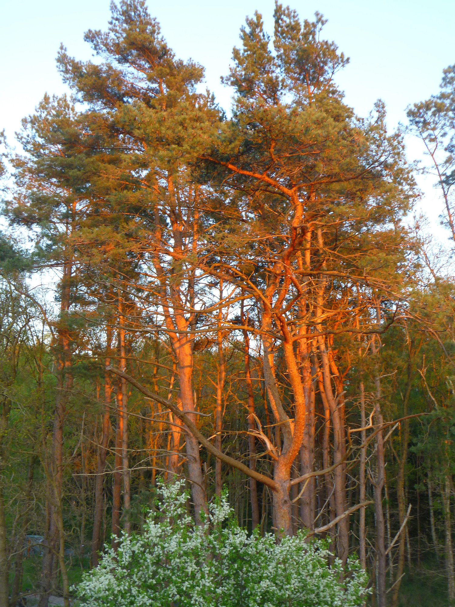 Ferienwohnung am Wald-酒店景观