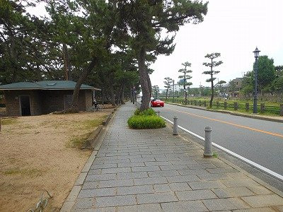 Ashiya Park-芦屋市必去景点