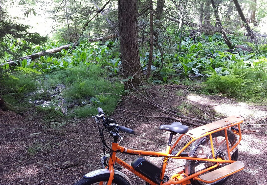 Spokane Electric Bike Rentals景点图片