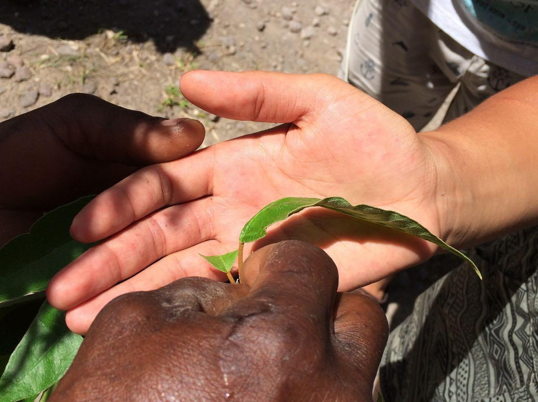 Montserrat Jolly Up Tours-Jolly Harbour必去景点