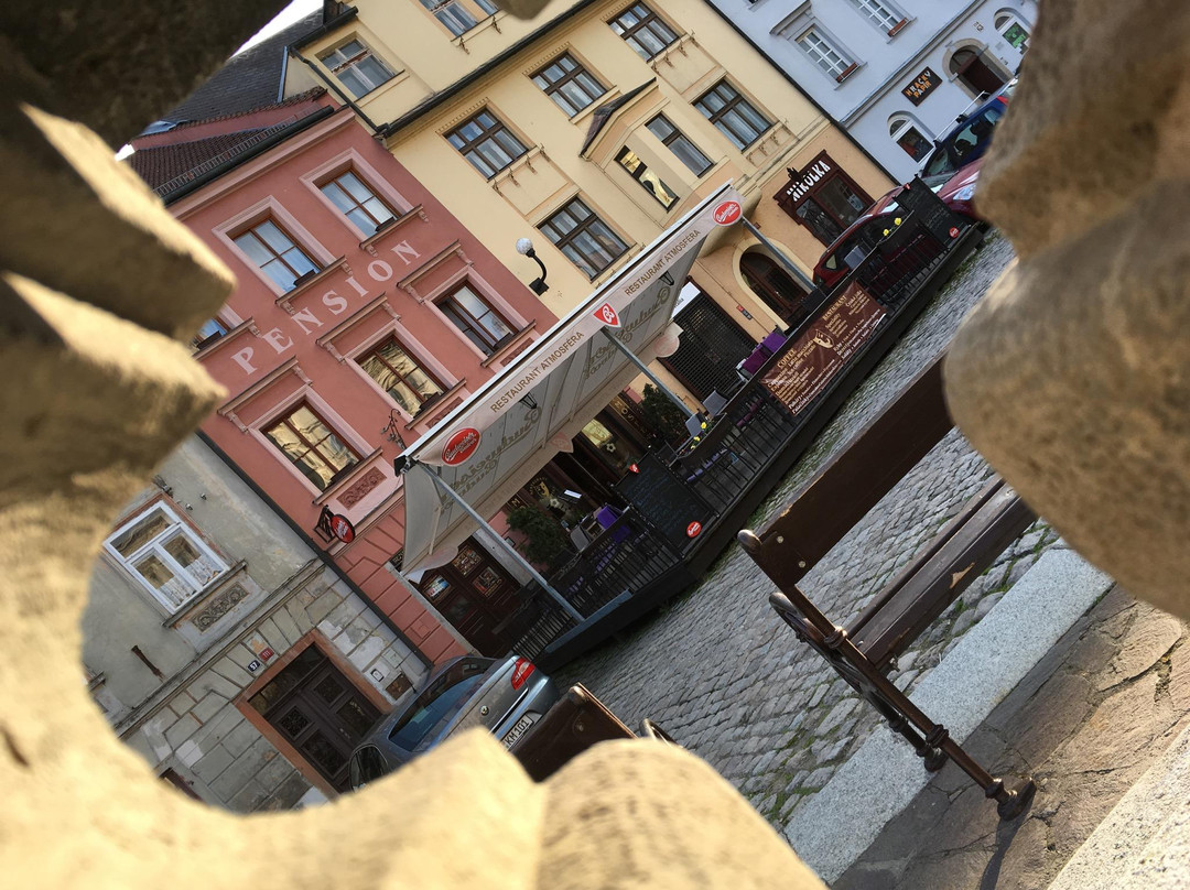 Horni Slavkov酒店住宿-艾特莫斯弗酒店