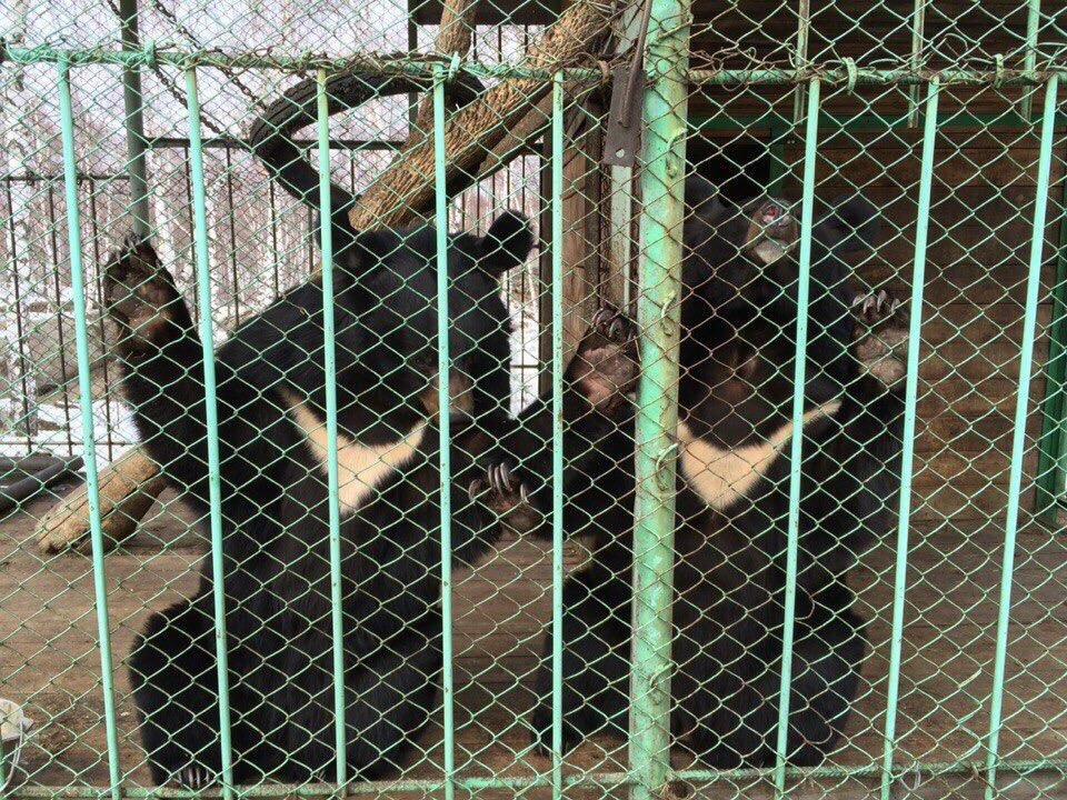 Tuimskiy Proval-Tuim必去景点