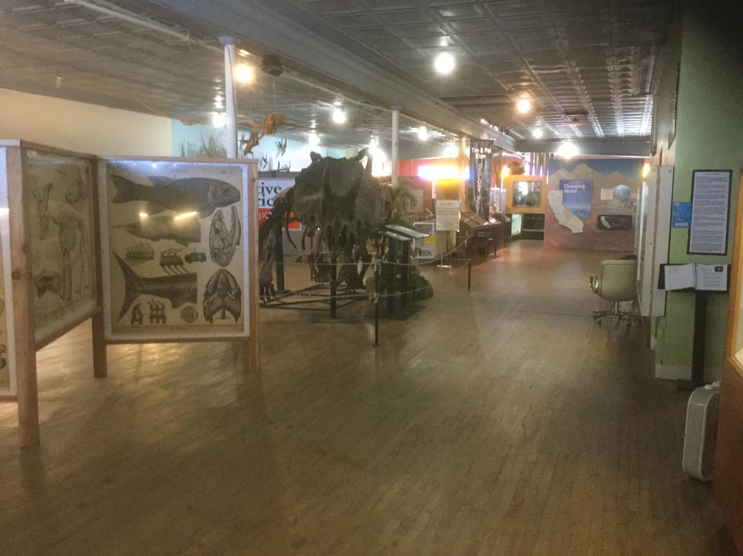 Buena Vista Museum of Natural History-贝克斯菲尔德必去景点