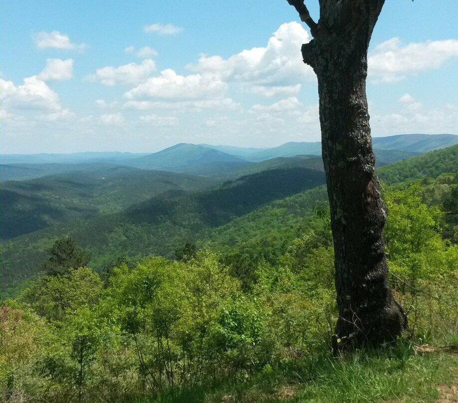 Talimena State Park-Talihina必去景点
