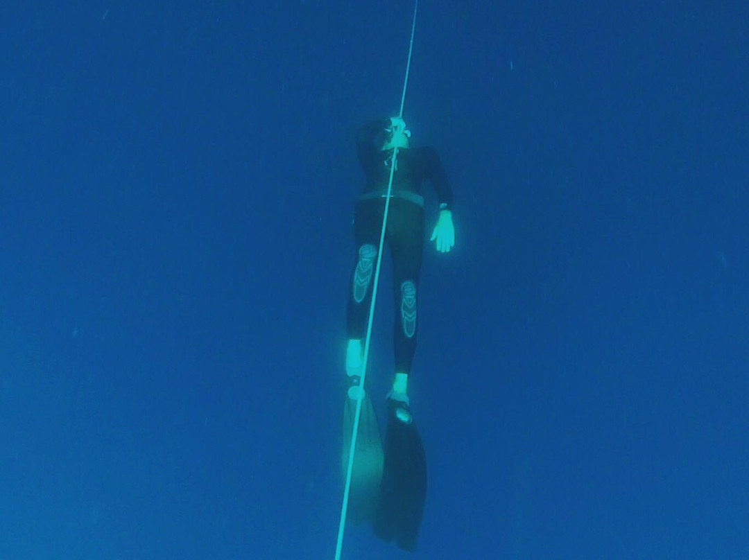 Freediving Philippines-莫阿尔博阿尔必去景点