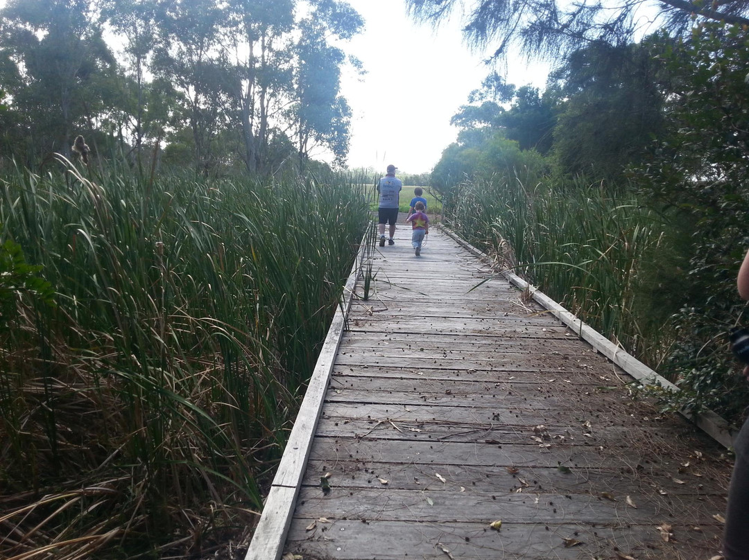Hunter Wetlands National Park景点图片