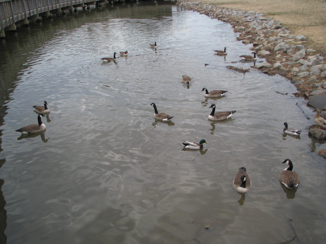 Lake Fairfax Park景点图片