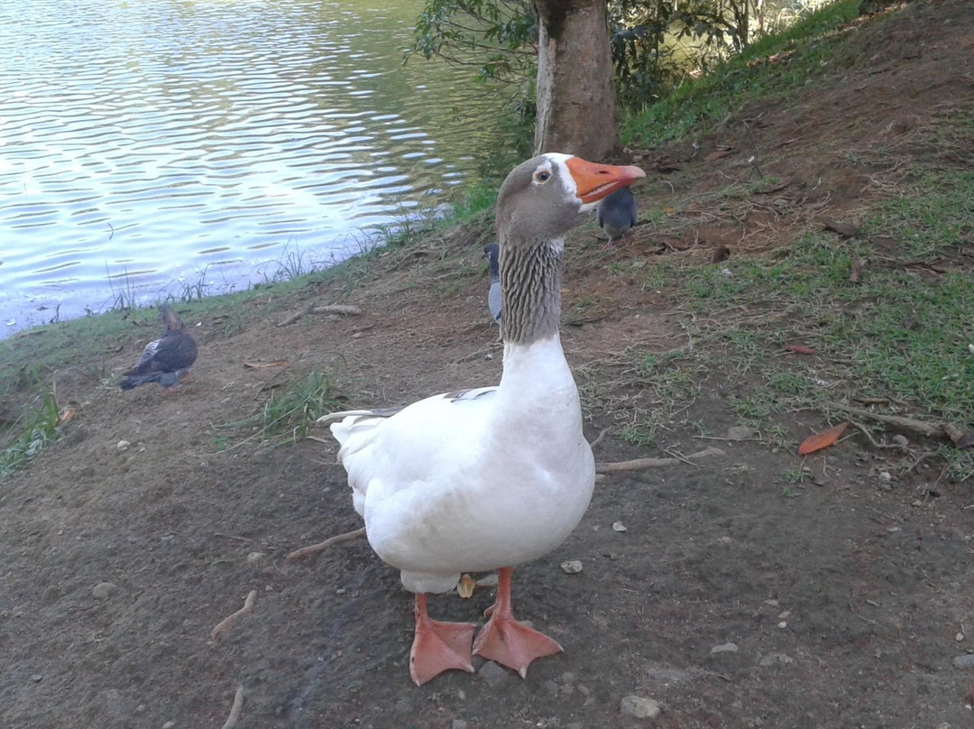 Anthero dos Santos Ecological Park-瓜拉廷格塔必去景点
