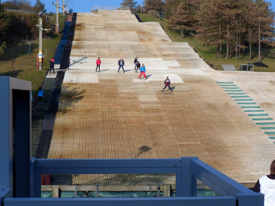 Ski Pembrey景点图片