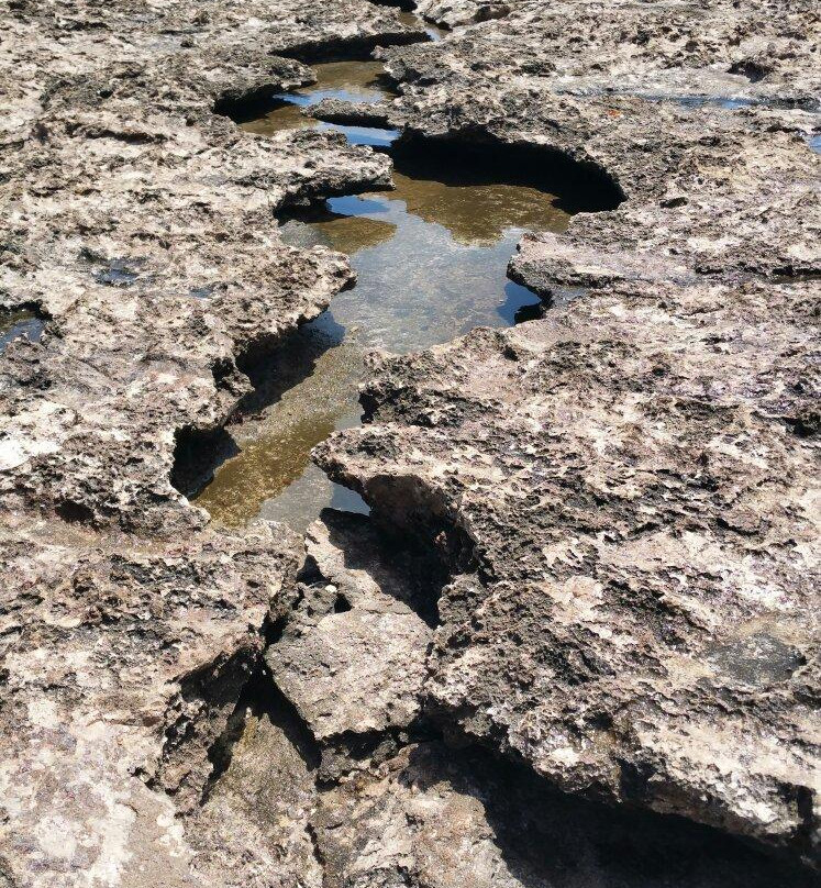 Suplado-Washington-Slagbaai National Park必去景点