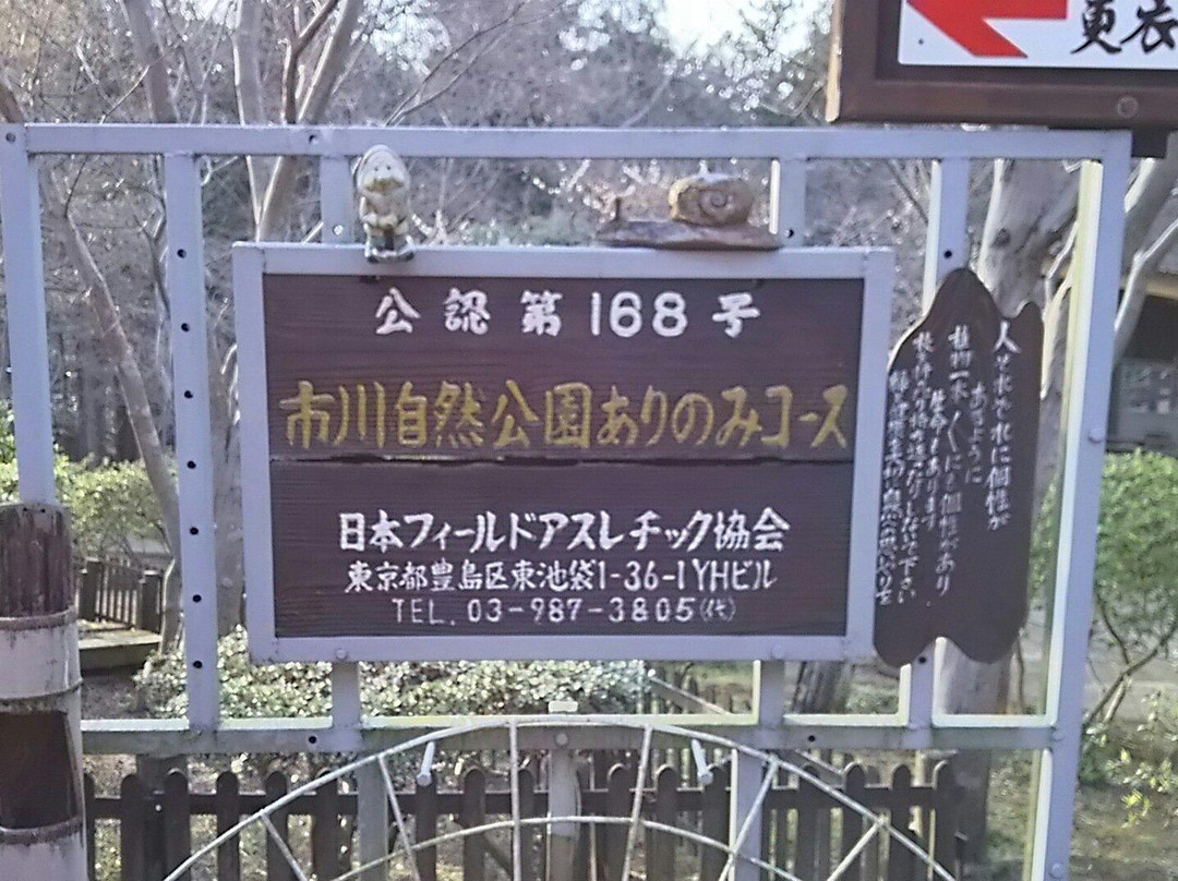 Arinomi Course-市川市必去景点