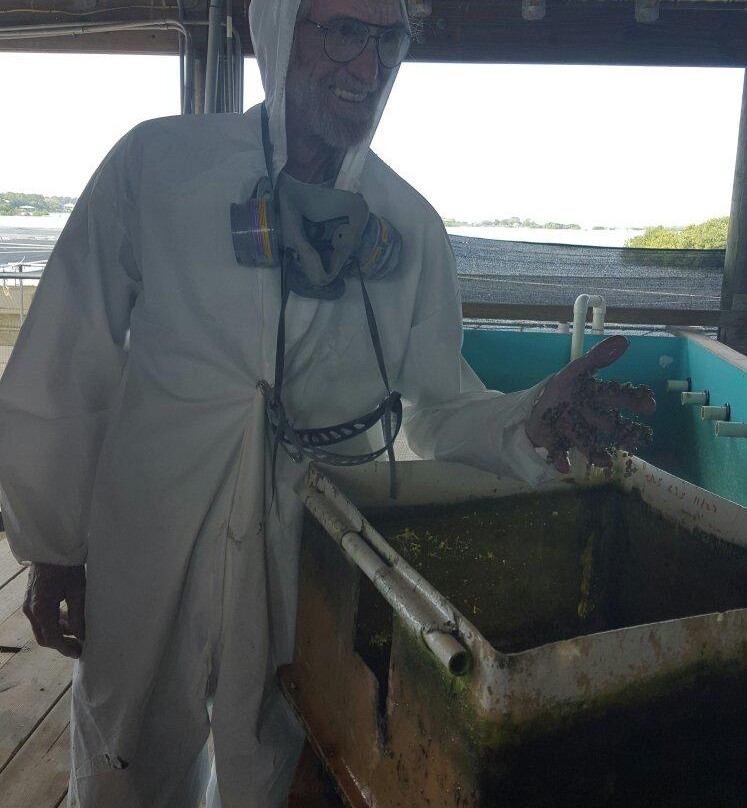 Southern Cross Sea Farms-锡达礁必去景点