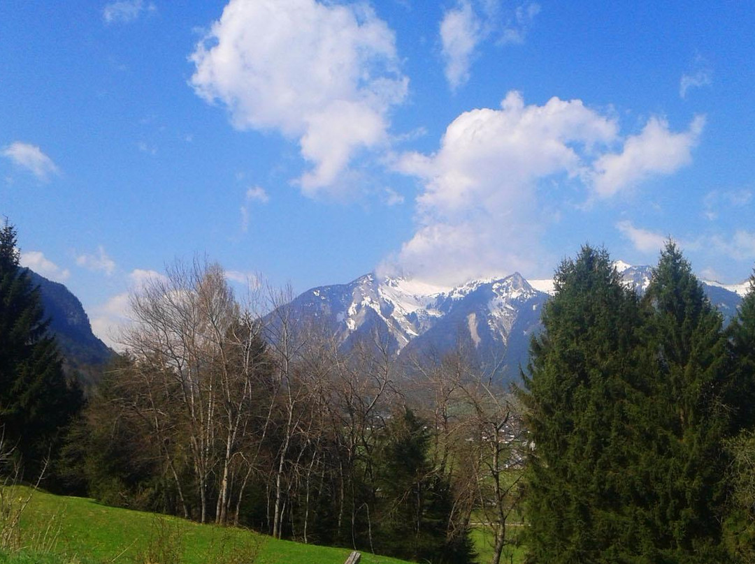 Hotel Martinshof主图