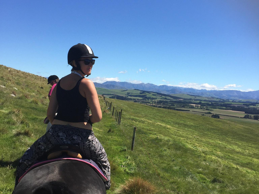 Weka Pass Horse Treks & Riding Centre景点图片