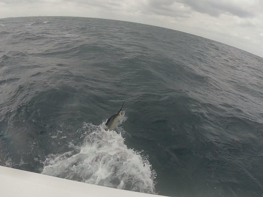 Lawless Sport Fishing Charters-Palm Beach Shores必去景点